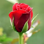 Bruce Walters - @fabulousfab759 - Instagram