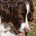 Bruce John Walz - Facebook
