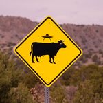 Bruce Warrington-Mullinax - @brucebmax07 - Instagram