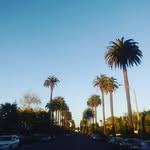 Bruce Wasser - @bruce.wasser - Instagram