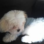 Bruce Wasz - @papabgrinch - Instagram