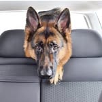 German_bruce - @bruce_watters - Instagram