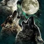 Bruce A Waugh - @waughbaw59 - Instagram