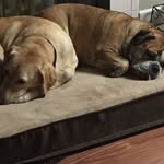 Bruce Waughop - @brucewaughop - Instagram