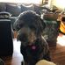 Bruce Wehling - Facebook