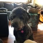 Bruce Wehling - @brucewehling - Instagram