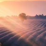 Bruce Wehner - @minsuasmunil - Instagram