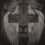 Bruce Wehr - @brucewehr - Instagram