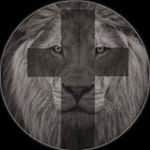 Bruce Wehr - @brucewehhr - Instagram