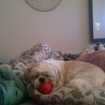 bruce weinstein - @weinstein_bruce - Instagram