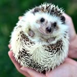 Bruce A. Wellman - @brucea.wellman2037 - Instagram