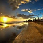 Ephraim  Bruce whitley - @nzreapzz - Instagram