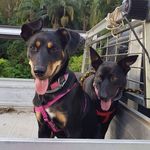 Bruce Whittington - @bruce.whittington.5 - Instagram