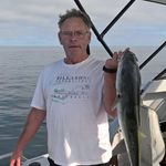 Bruce Whittington - @brucewhittington_ - Instagram
