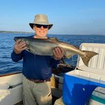 Bruce Whittington - @brucewhittington - Instagram