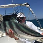 Bruce Wickens - @brucewickens - Instagram