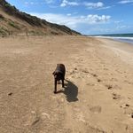 @brucewickis - Instagram
