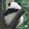 brucewiggins3 - @bruce.wiggins - TikTok