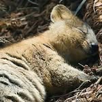 Bruce - @bruce_wilkinson_ - Instagram
