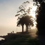 Bruce Wilkins - @bruce0951 - Instagram