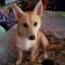 Bruce Wilkins - Facebook