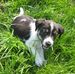 Bruce WillEs - Facebook