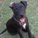 Bruce Wilmoth - Facebook