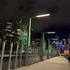 Wild - @bruceyy.wiseman - TikTok