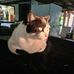 Bruce Workman - Facebook