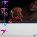 Bruce Workman - Facebook
