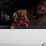 Bruce Workman - @bruceworkman409 - Instagram