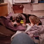 Bruce Yost - Facebook