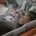 Bruce Zick - Facebook