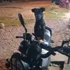 🐶black y bruna🐶 - @black.y.bruna - TikTok