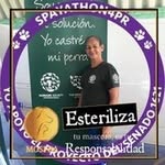 Brunilda Negron - @brunilda1457 - Instagram