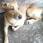 Brunilda Serrano - Facebook