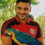Bruno Afonso - @brunoafoonso - Instagram