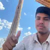 bruno afonso - @bruno_afonsoo - TikTok