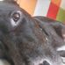 Bruno Alejandro - Facebook