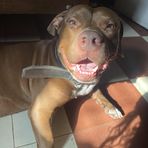 Bruno Alexander - Facebook