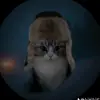 Bruno Alexander - @bruno.alexander64 - TikTok