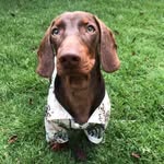 Bruno Alfonso - @bruno.alfonchito - Instagram