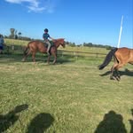 @brunoallende8498 - Instagram