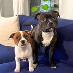 Bruno & Alva - @staff.bruno.alva - Instagram