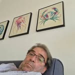 bruno arena - @brunoarena3 - Instagram