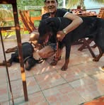 Bruno Arena - Facebook