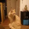 Arnold Bruno - @arnold.bruno - TikTok