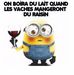 Bruno Audet - Facebook