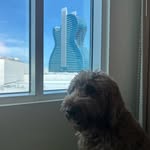 bruno baker - @reddoodbru - Instagram