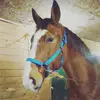 Bruno Baker - @bruby73 - TikTok